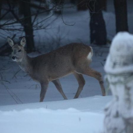 Kompleks Male Dolomity Hucisko  エクステリア 写真